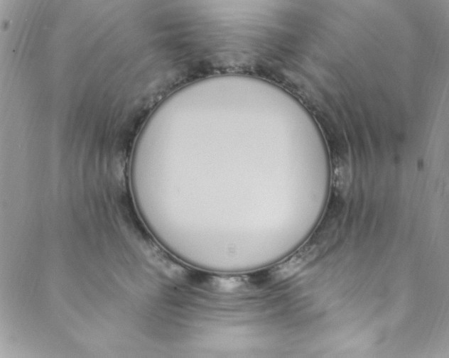 X0000088840662200707051449