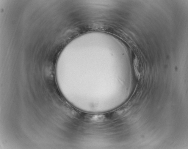 X0000088840663200707051449