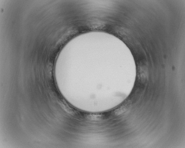 X0000088840664200707051449