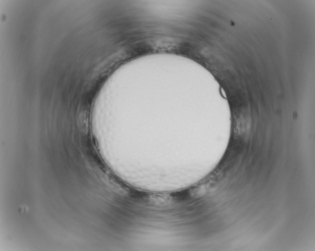 X0000088840666200707051449