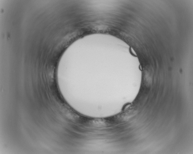 X0000088840668200707051449