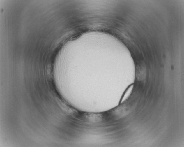 X0000088840670200707051449