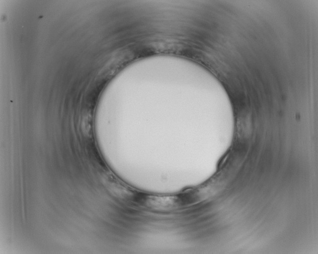 X0000088840671200707051449