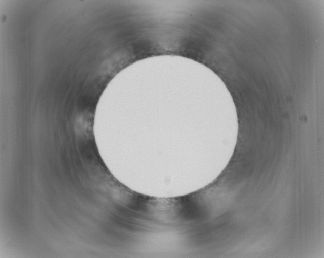 X0000088840672200707051449