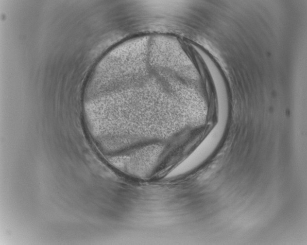 X0000088840673200707051448