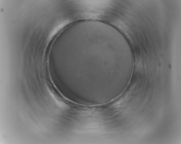 X0000088840674200707051448