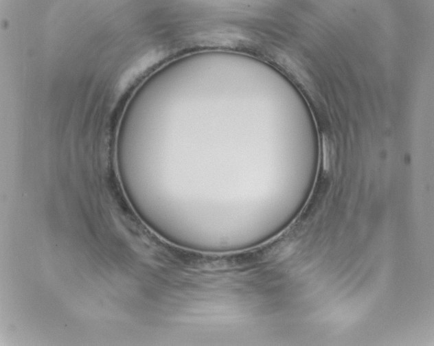 X0000088840675200707051448