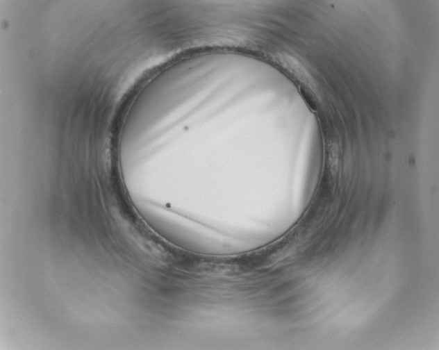 X0000088840676200707051448