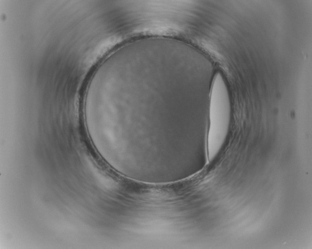 X0000088840678200707051448