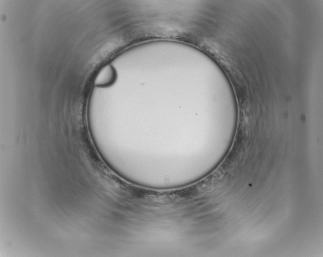 X0000088840679200707051448