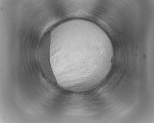 X0000088840680200707051448