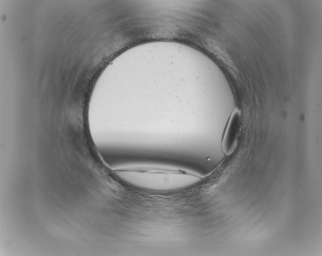 X0000088840681200707051448