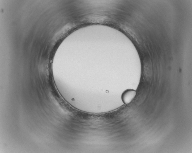 X0000088840682200707051448