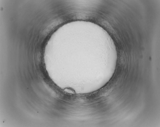 X0000088840683200707051448