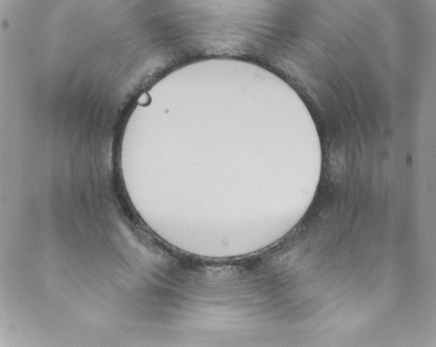 X0000088840686200707051448