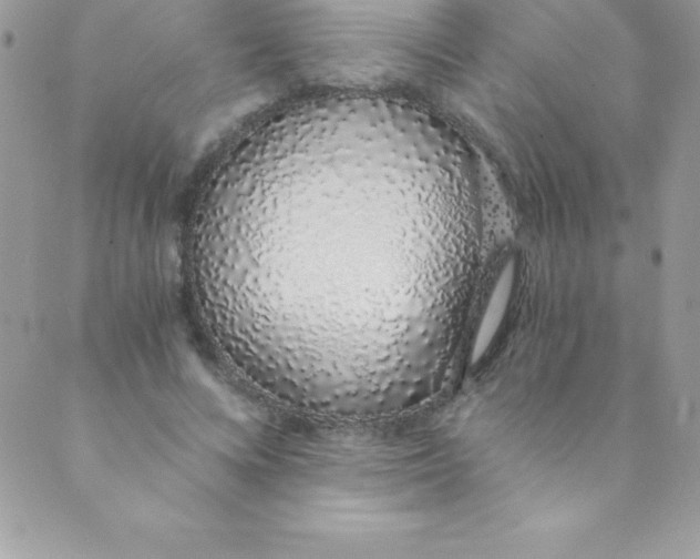 X0000088840688200707051448