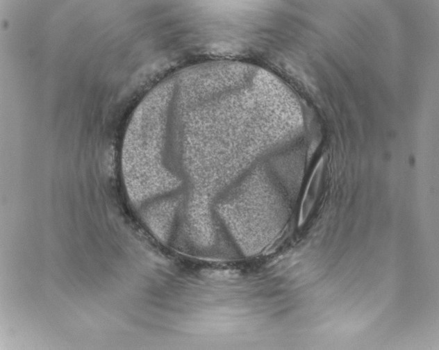 X0000088840689200707051448