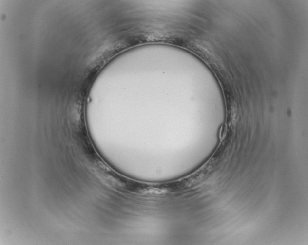 X0000088840691200707051448