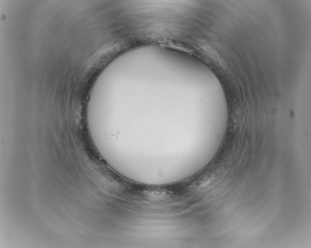 X0000088840693200707051448