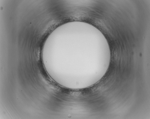 X0000088840694200707051448