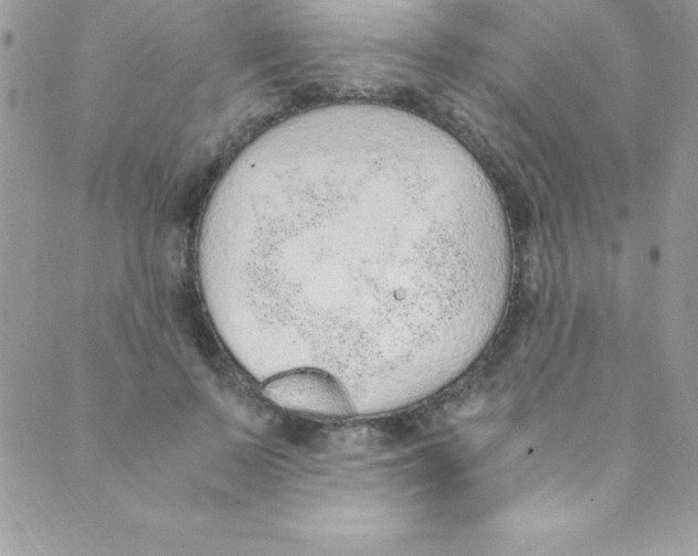 X0000088840695200707051448