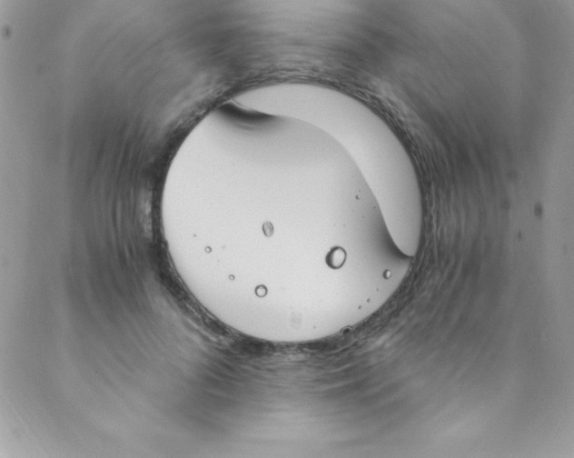 X0000088840696200707051448