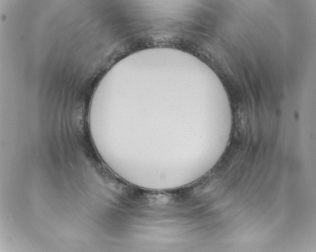 X0000088840698200707051448