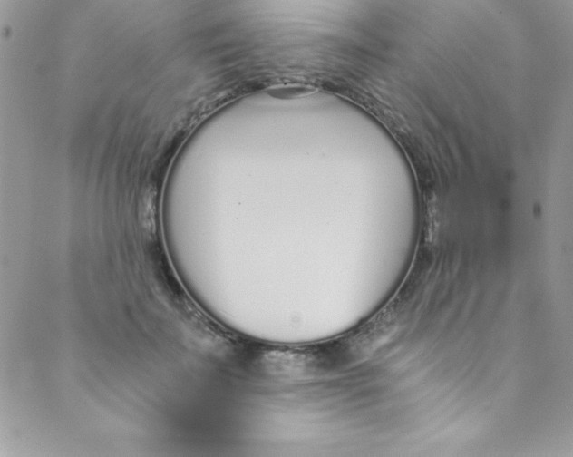 X0000088840699200707051448