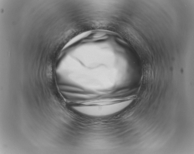 X0000088840700200707051448