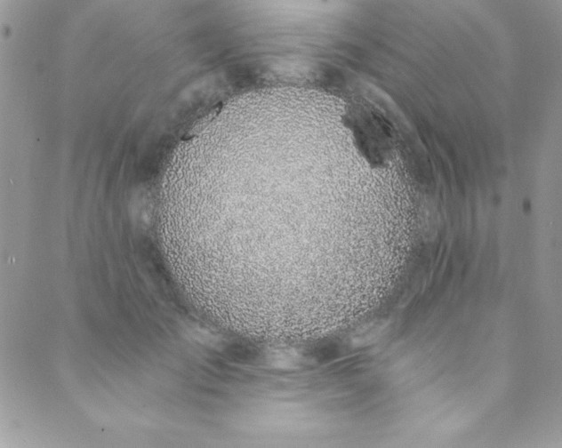 X0000088840701200707051448