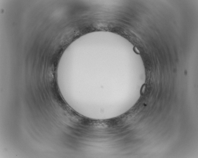 X0000088840702200707051448