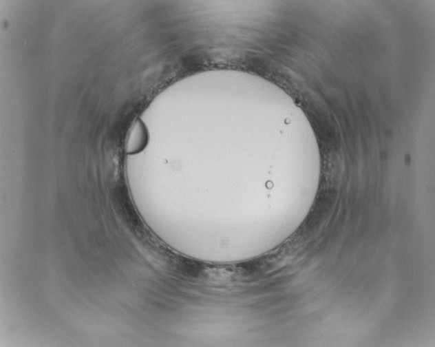 X0000088840703200707051448