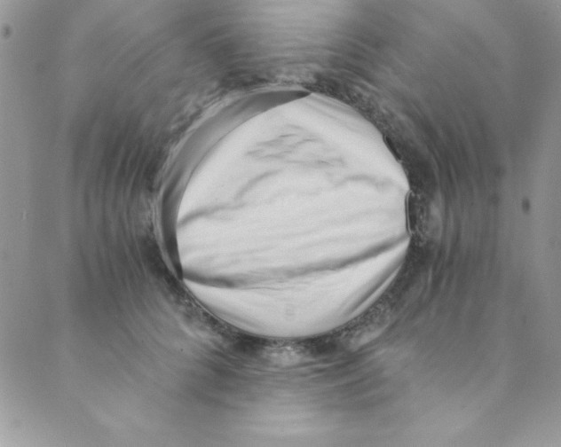 X0000088840704200707051448