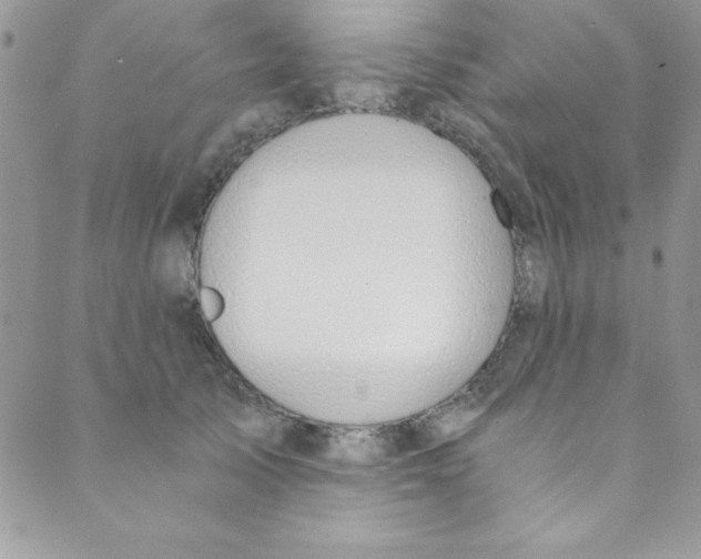 X0000088840705200707051448