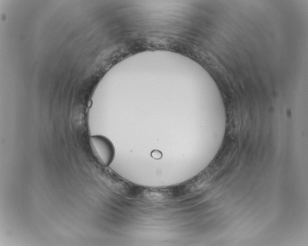 X0000088840706200707051448