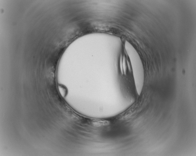 X0000088840707200707051448