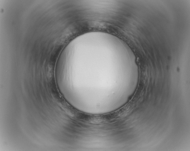 X0000088840708200707051448