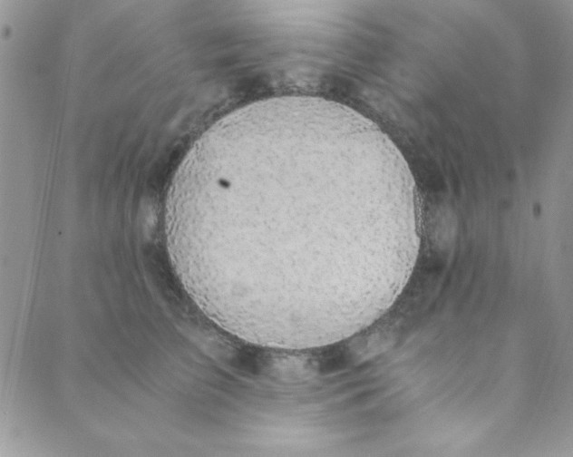 X0000088840709200707051448