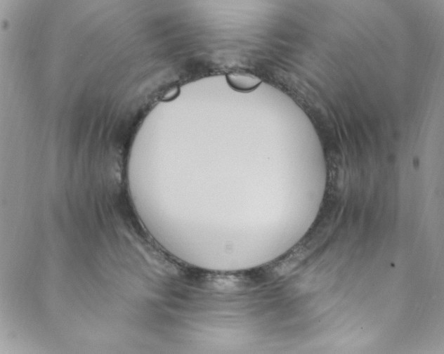 X0000088840710200707051448