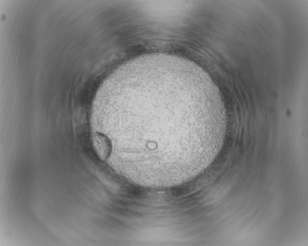 X0000088840711200707051447