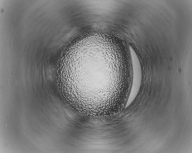 X0000088840712200707051447