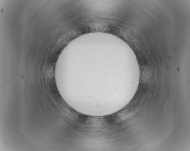 X0000088840713200707051447