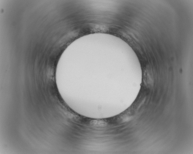 X0000088840714200707051447