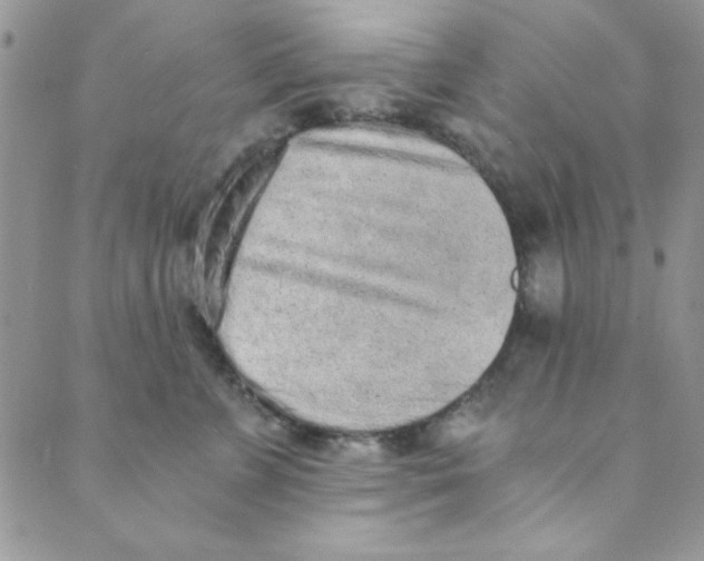 X0000088840715200707051447