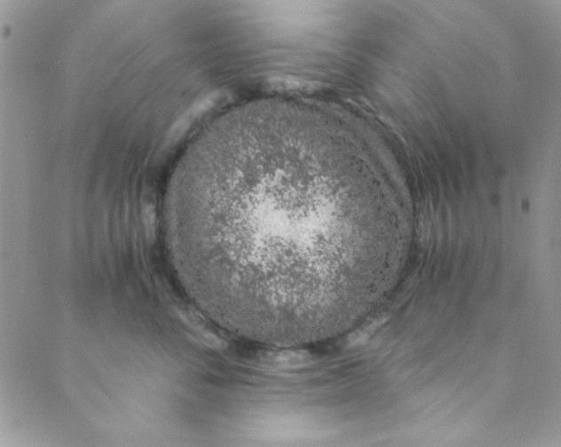 X0000088840716200707051447