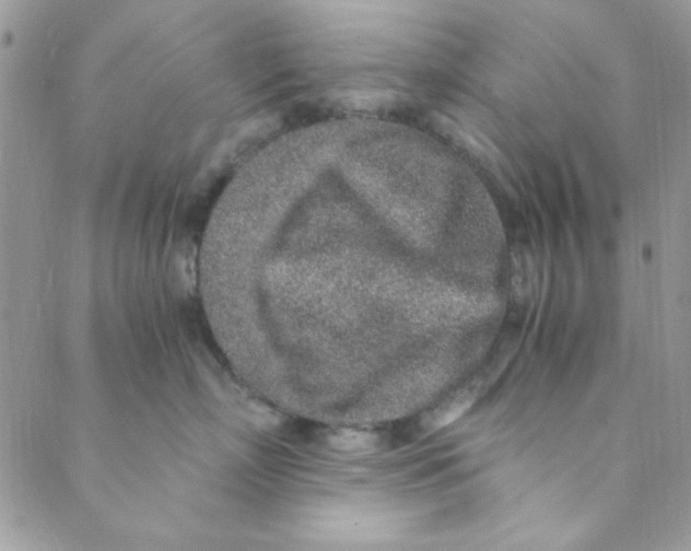 X0000088840718200707051447