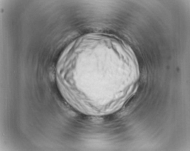 X0000088840719200707051447