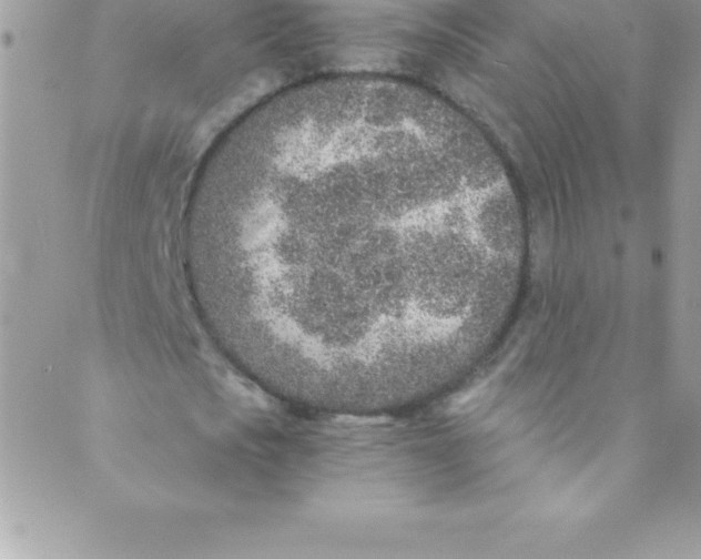 X0000088840721200707051447