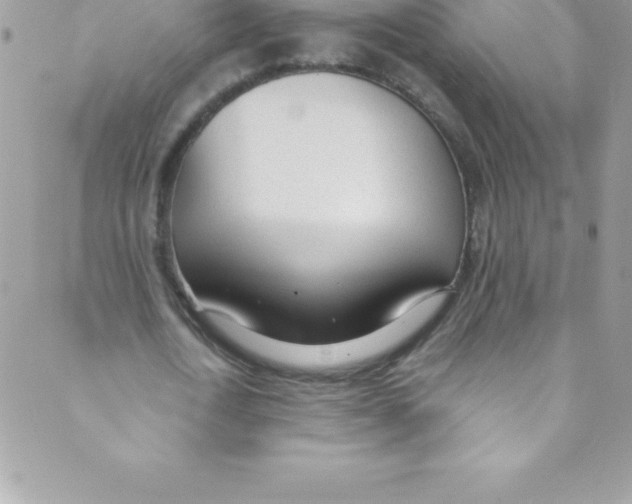 X0000088840722200707051447