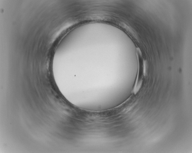 X0000088840723200707051447